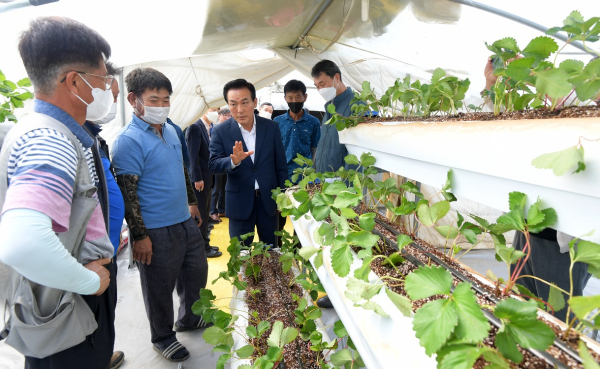 단동형 계단재배 시설 하우스