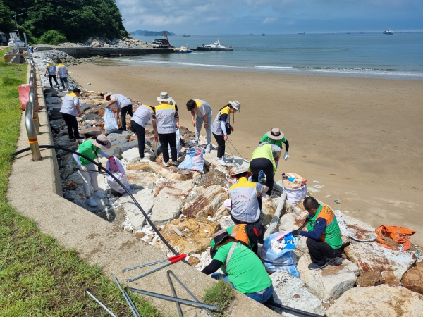 난지도 해수욕장 환경정화