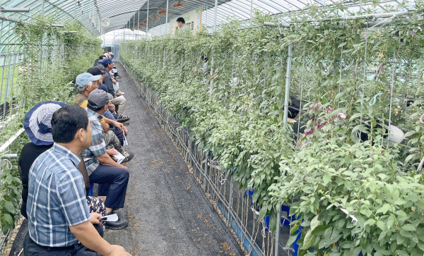 지난 7일에 비봉면에 있는 신춘식 회장의 재배 포장에서 열린 구기자 2단 재배 평가회에 참석 모습