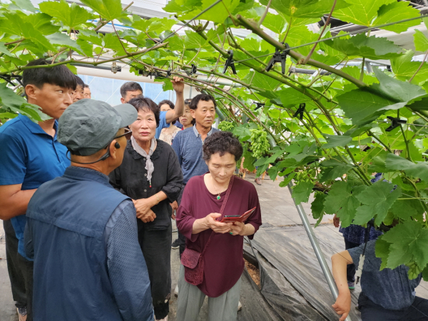 블랙사파이어 교육 사진