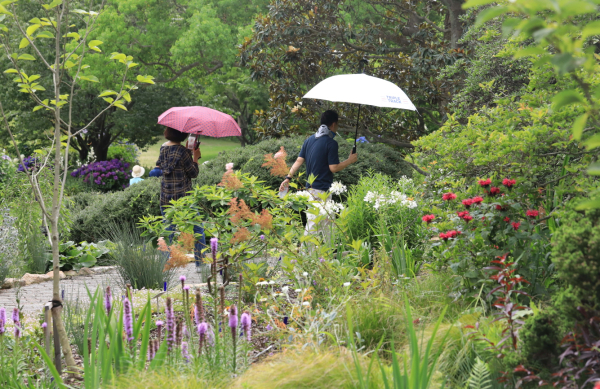 천리포수목원 민병갈 추모정원을 걷는 탐방객