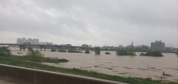 논산천 집중호우 모습 /