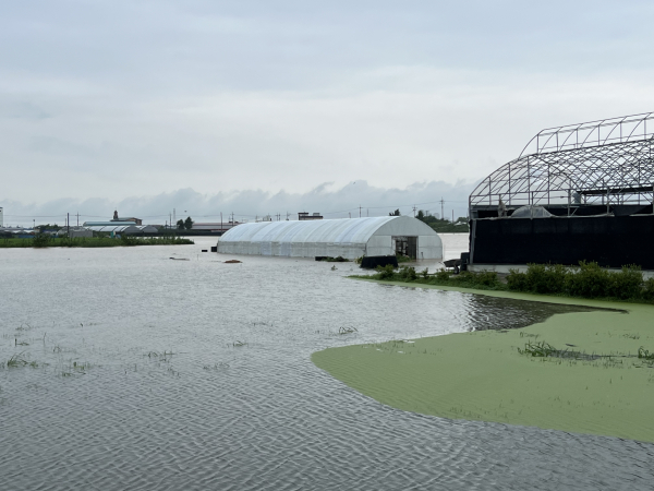동면 장송리 침수 피해 현장/천안시 제공