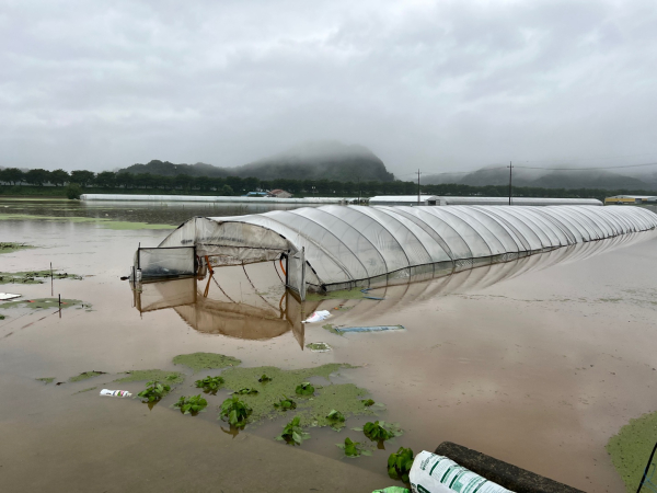 청양지역 집중호우 피해 현장 모습