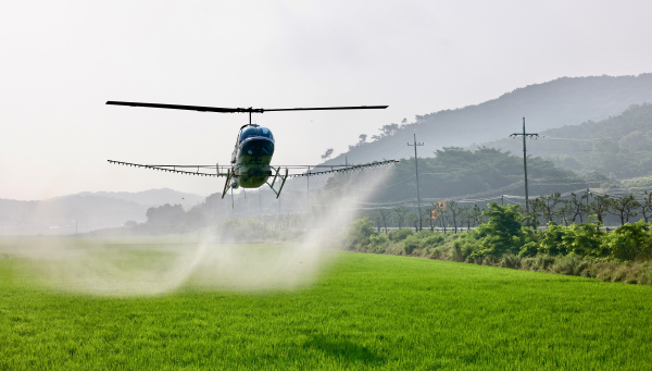 벼 병해충 항공·공동방제 모습