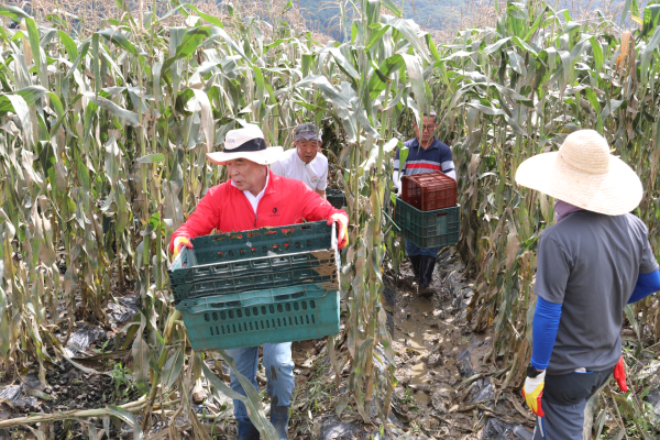 국민의힘 박덕흠 의원이 수해복구 현장을 찾아 구슬땀을 흘리고 있다.