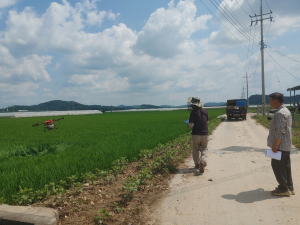 청양군, 침수 피해지역 벼 병해충 긴급방제