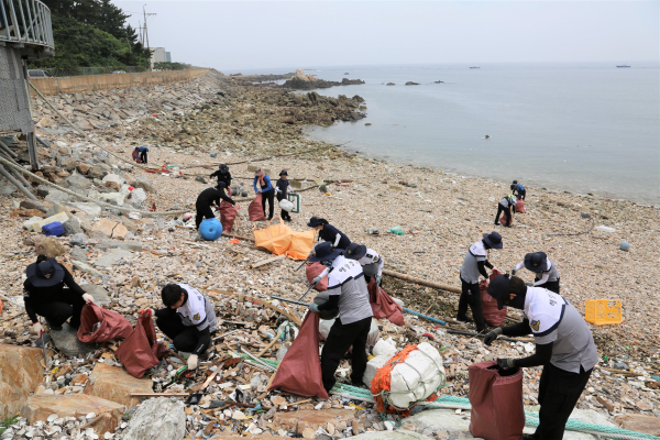 수해복구 관련 해안가 유입 해양쓰레기 정화활동 모습