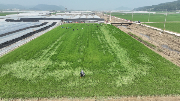 ​청양군 수해복구현장 드론사진 ​