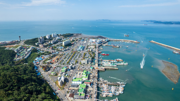대천항 사진