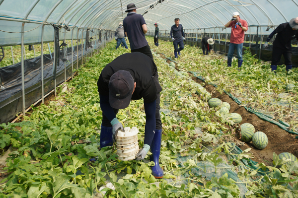 이완섭 서산시장이 21일 충남 부여군 수해 지역에서 공직자들과 함께 수해복구작업을 하는 모습