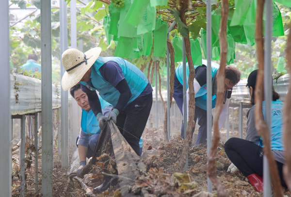 충남 부여군을 찾아 긴급 봉사활동 진행 모습