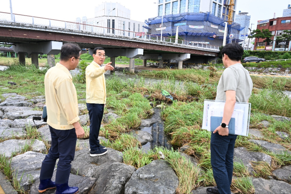 24일 대전천 일원 현장 점검에 나선 김광신 중구청장