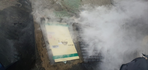 대전 서구 여름철 전통시장 해충방역 활동 장면