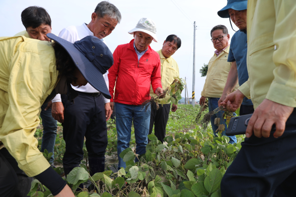 국민의힘 박덕흠 의원이 호우로 인한 병해충 피해가 발생한 농가를 찾아 실태를 확인하고 있다.