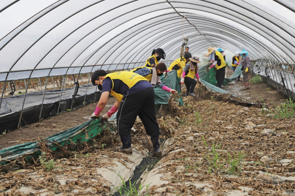 부여교육지원청, 수해복구 봉사활동 진행 모습