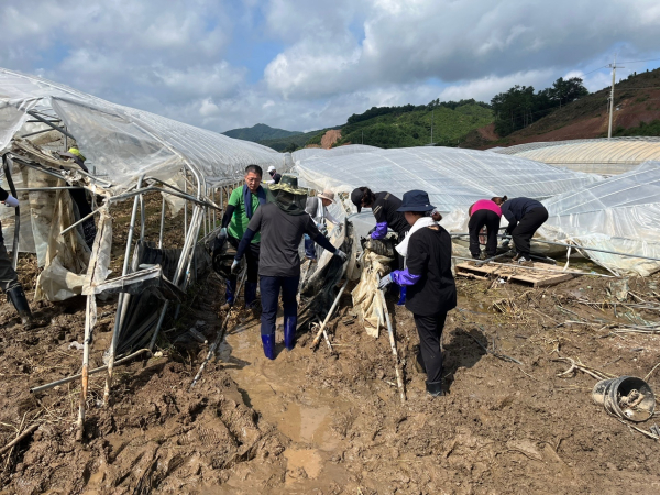 시설하우스 피해 관련 사진