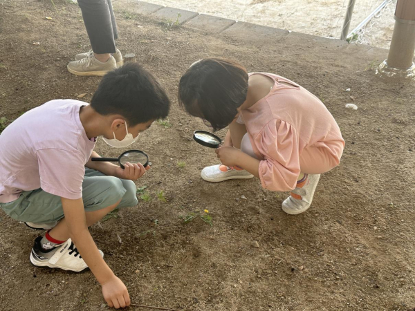 세종시 관내 초등학생들이 찾아가는 학교 환경교육 프로그램에 참여하고 있다.