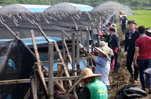 ​대전 동구청 직원, 자원봉사자 등과 충남 청양군 호우 피해 복구 봉사활동 참여 모습 ​