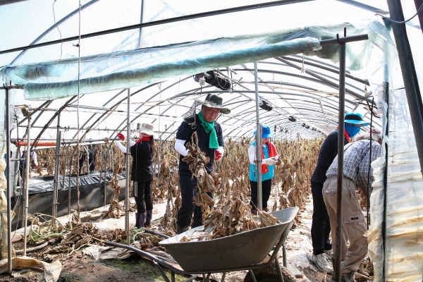 28일 공주시 수해복구 봉사활동 모습