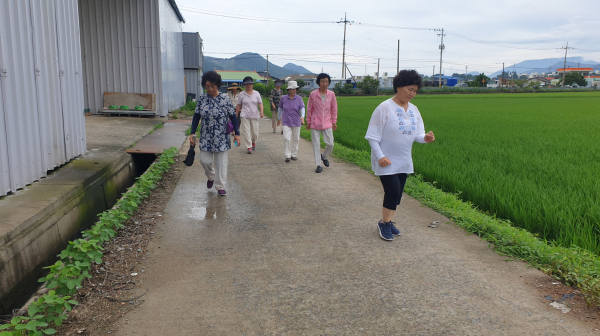 걷기 챌린지 사진