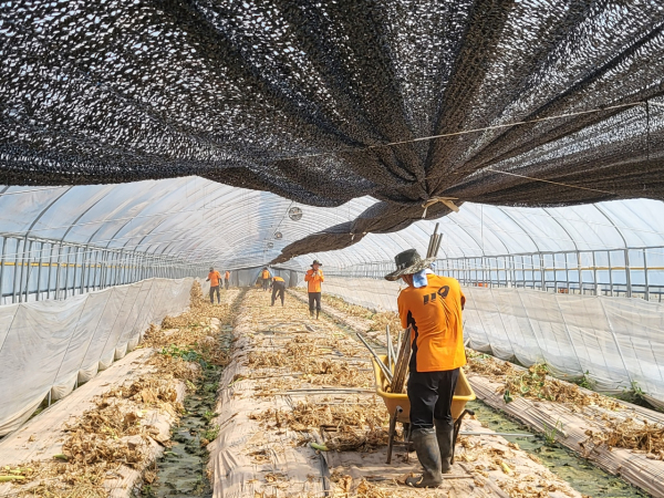 수해 복구 자원봉사 모습