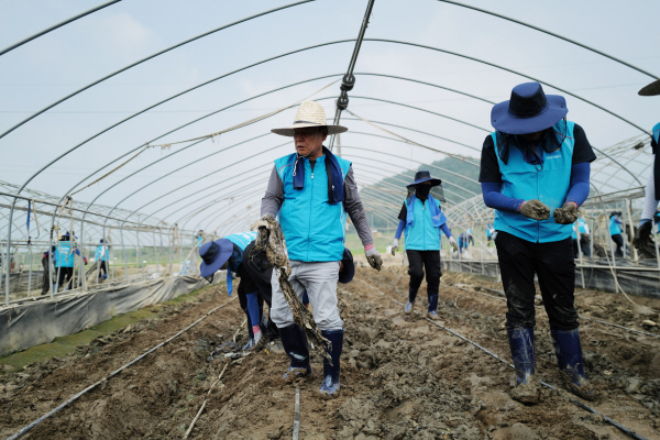 2일 한국수자원공사 윤석대 사장을 포함한 임직원 100여 명이 특별재난지역으로 선포된 충청남도 청양군을 찾아 피해복구 지원 활동을 진행하고 있다.