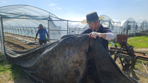 국민의힘 양홍규 서구을 당협위원장이 충남 논산시 성동면 수해복구 현장을 찾아 봉사활동을 하고 있다.