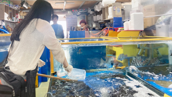 9일 삼길포앙 일원에서 진행된 식중독 관련 특별 점검 및 캠페인 모습