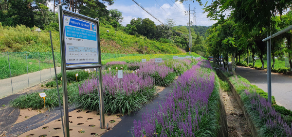 맥문동 유전자원 포장
