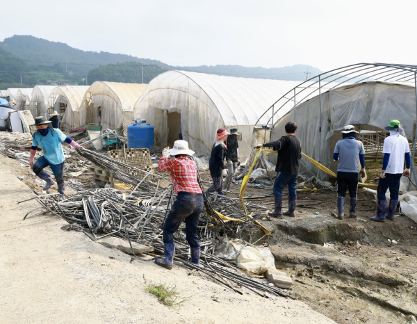 청양군 공직자 집중호우 피해복구 마무리 봉사활동 진행 모습