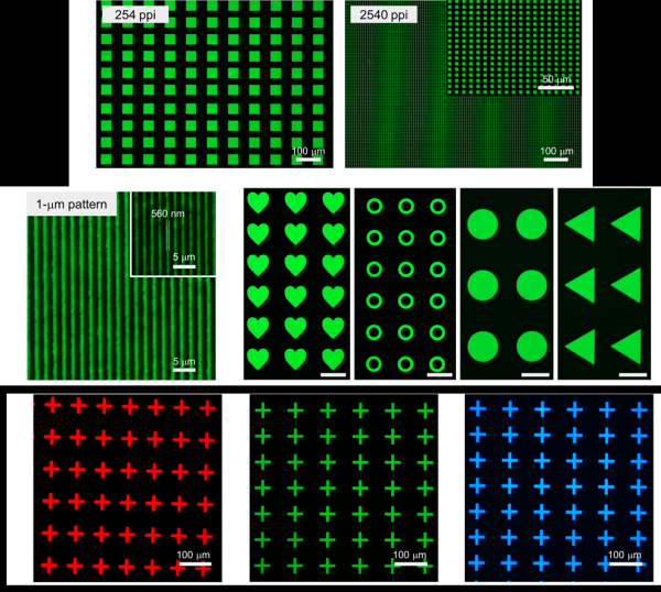 그림 1. 제시된 공정을 통해 제작된 다양한 패턴
