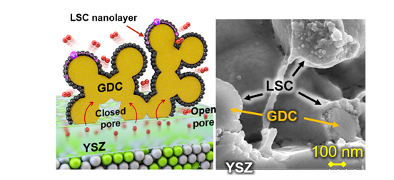 다공성 전해질 구조체의 열린 기공 표면에만 선택적으로 LSC 나노 전극촉매 입자가 형성되는 개념도