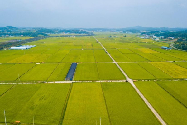 홍성군은 농지이용실태조사를 실시한다