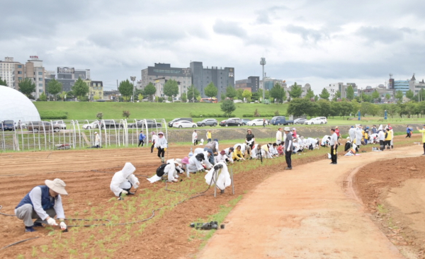 미르섬 꽃묘 심기 자원봉사