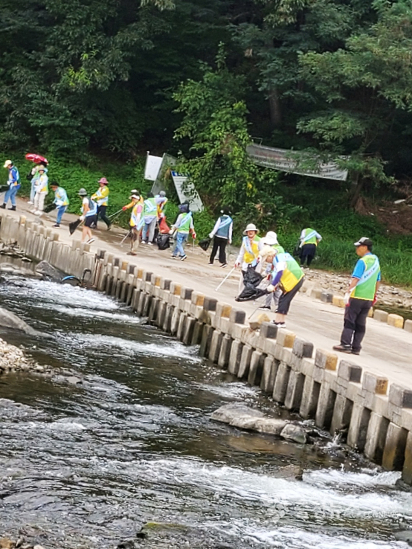 대전광역시행정도우미자원봉사회의 충남 금산군 제원면 천내천 정화 활동