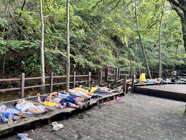 지난 20일 국립산림치유원 음이온치유정원에서 ‘아토피 숲 캠프’ 참가자들이 신체면역력 증진을 위한 숲 호흡 활동을 하고 있다.