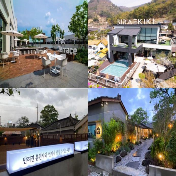 대전 반려동물 친화 인증’13개 업체 선정