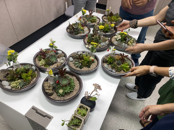 세종시민 도시농부 육성 프로젝트 시범 운영 모습