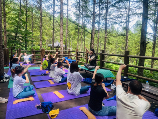 숲요가테라피 진행 모습