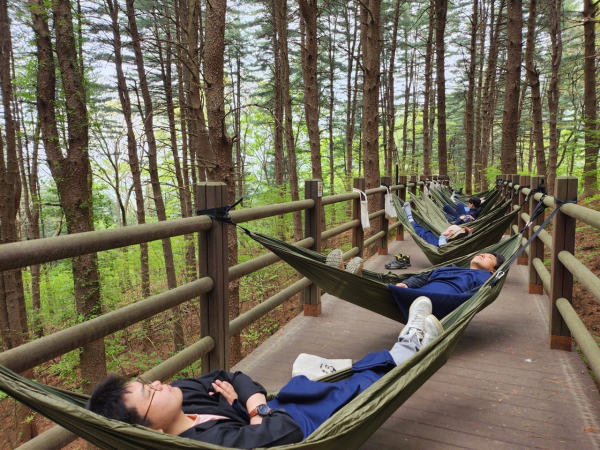 숲해먹테라피 진행 모습