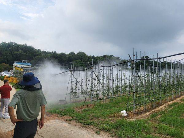 사과원 약제 자동화 시스템 약제 살포 현장 모습