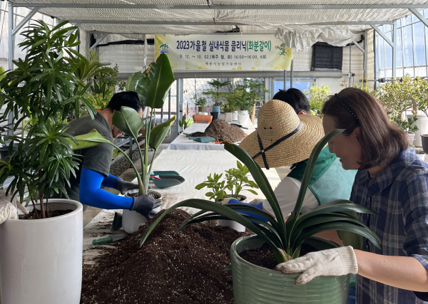 가을철 식물 클리닉