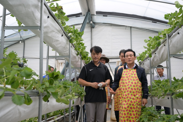 단동형 계단재배 하우스 찾은 백성현 논산시장