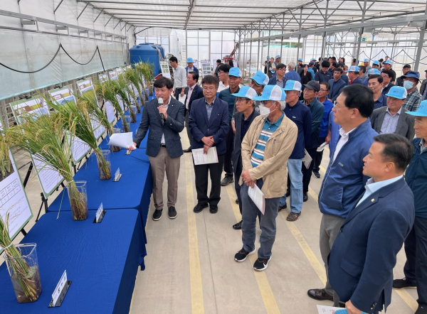 당찬진미 등 14개 품종 비교 분석