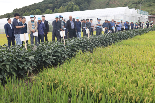 품종별·재배유형별 전시포장 관찰 및 평가