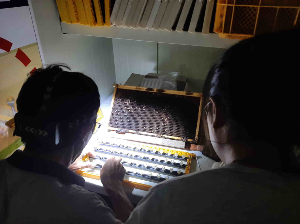 청년 농업인 영농승계 후원 결연 멘토링