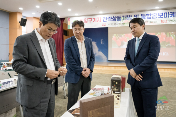 ‘청양구기자 전략상품개발 및 통합마케팅용역’ 최종보고회 개최 모습