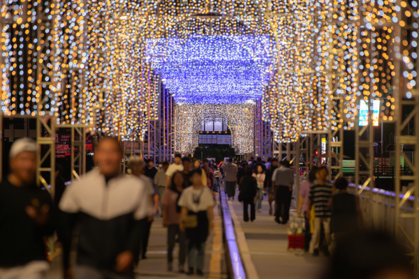 대백제전 - 금강신관공원과 미르섬 야경