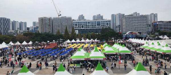 천안흥타령춤죽제가 열린 천안종합운동장 일대/사진=박동혁 기자